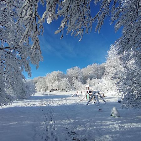 Plitvice Green Apartment Plitvicka Jezera Ngoại thất bức ảnh